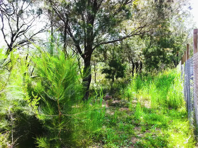 Main view of Homely land listing, 32 Pirama Road, Wyee NSW 2259