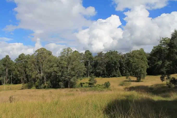 Fifth view of Homely rural property listing, 393 Dam Access Road, Ghinni Ghi, Kyogle NSW 2474