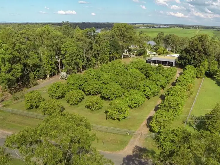 Second view of Homely house listing, 7 Ramsay Court, Dundathu QLD 4650