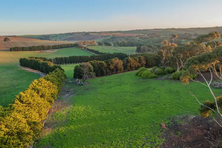 Third view of Homely rural property listing, 345 Merrawarp Road, Ceres VIC 3221