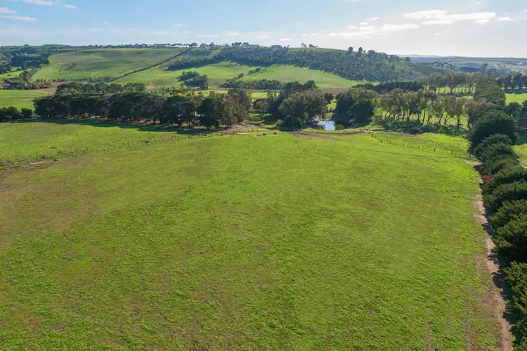 Fourth view of Homely rural property listing, 345 Merrawarp Road, Ceres VIC 3221