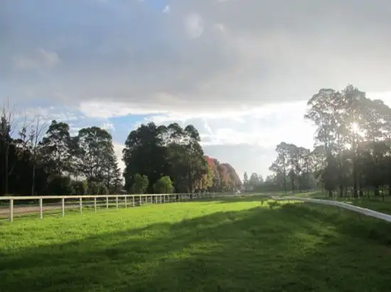Fourth view of Homely rural property listing, 1640 George Downes Drive, Kulnura NSW 2250