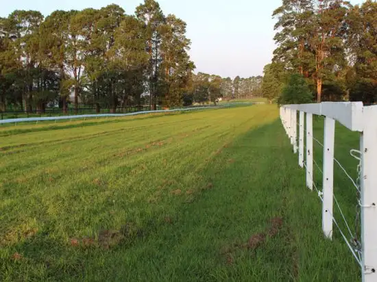 Fifth view of Homely rural property listing, 1640 George Downes Drive, Kulnura NSW 2250