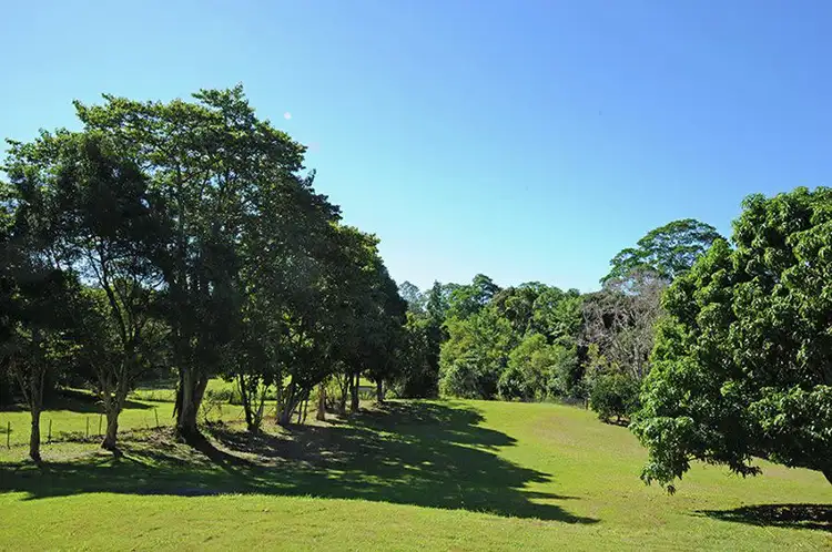 68 Andersen Road, Diamond Valley QLD 4553