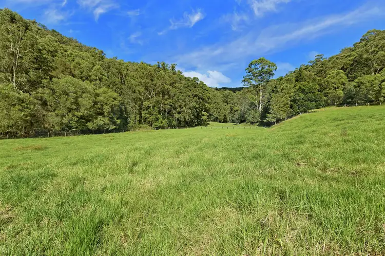Third view of Homely rural property listing, Lot 11 / 186 Bunning Creek Road, Yarramalong NSW 2259