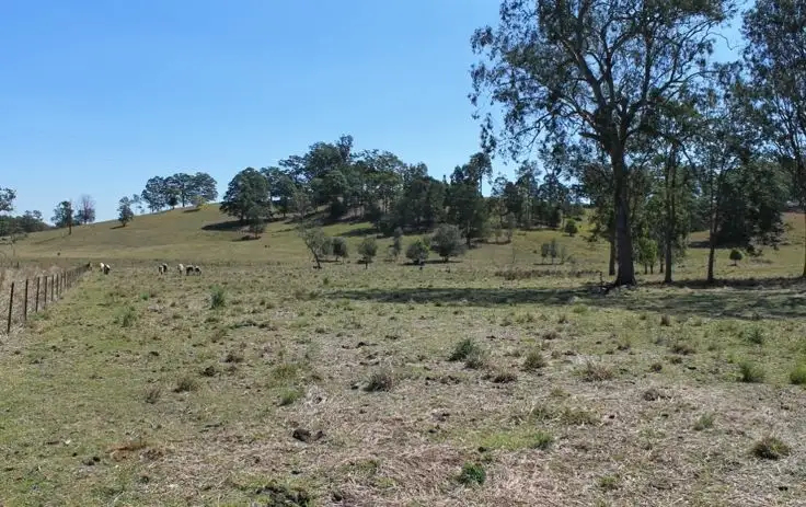 Seventh view of Homely rural property listing, 129 Runnymede Road, Kyogle NSW 2474
