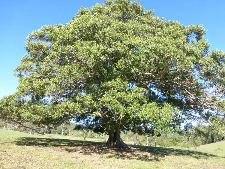 Third view of Homely rural property listing, Address available on request