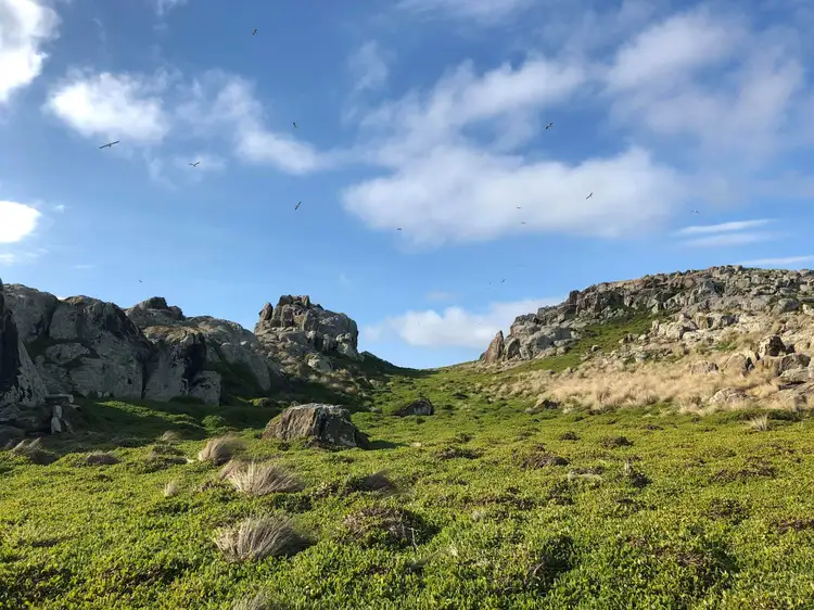 Fifth view of Homely land listing, Ninth Island, Bridport TAS 7262