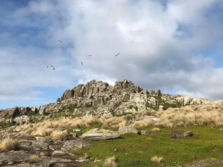 Sixth view of Homely land listing, Ninth Island, Bridport TAS 7262