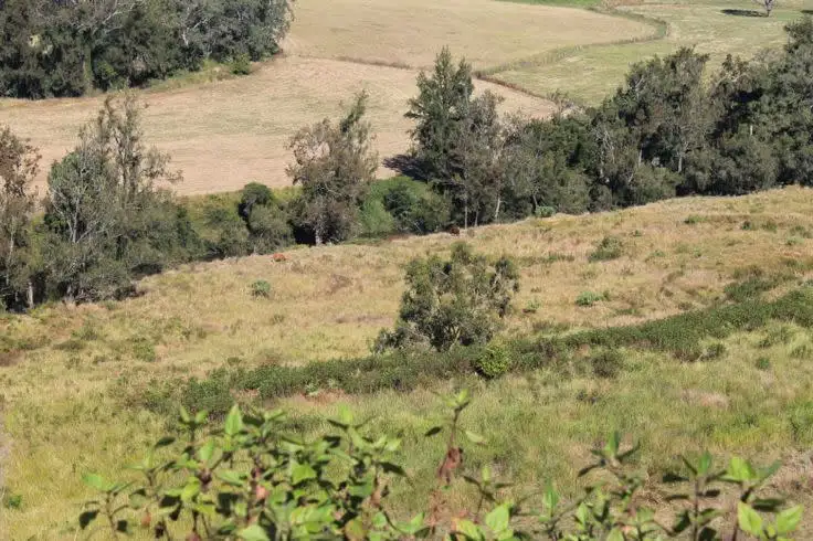 Second view of Homely rural property listing, Lot 9 - 10 Blackhorse Creek Road, Kyogle NSW 2474