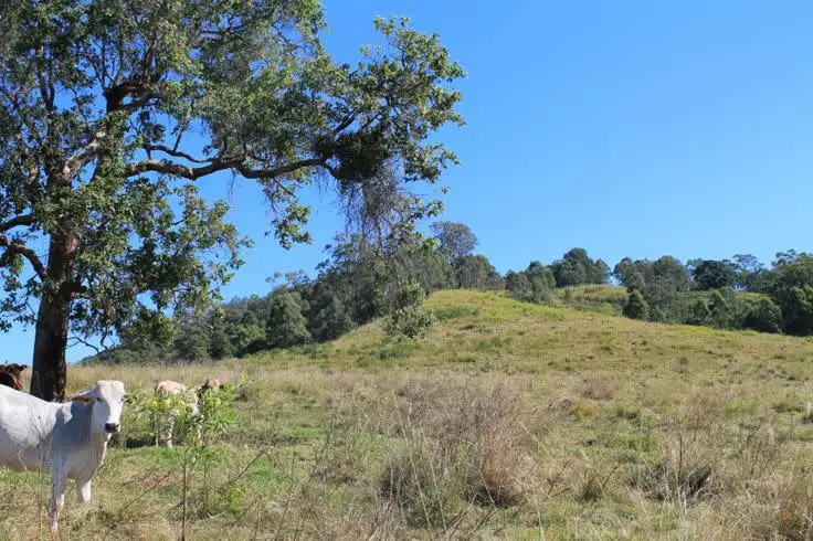 Seventh view of Homely rural property listing, Lot 9 - 10 Blackhorse Creek Road, Kyogle NSW 2474