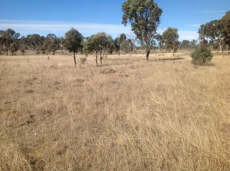 Third view of Homely land listing, 21 Beethoven Lane, Armidale NSW 2350
