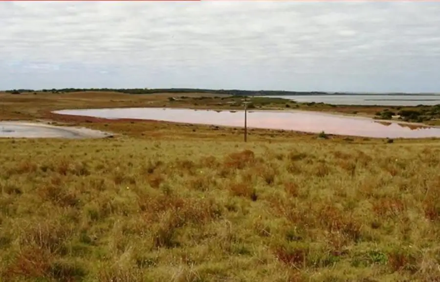 Main view of Homely rural property listing, Lot 50 Princes Highway, Meningie SA 5264