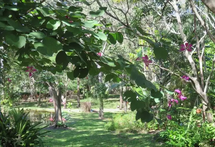 Fourth view of Homely land listing, LOT 23 MOUNTNEY ROAD, Strathdickie QLD 4800