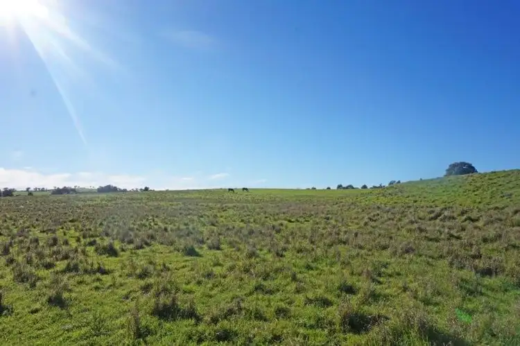 Fifth view of Homely land listing, 130 Waterworks Rd, Junee NSW 2663