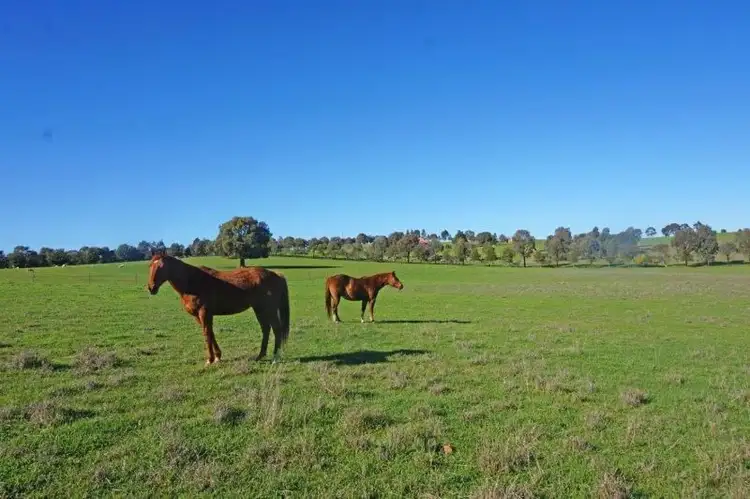 Sixth view of Homely land listing, 130 Waterworks Rd, Junee NSW 2663