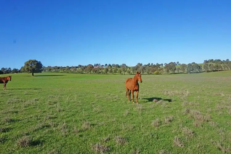 Seventh view of Homely land listing, 130 Waterworks Rd, Junee NSW 2663