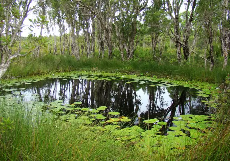 Seventh view of Homely rural property listing, Address available on request