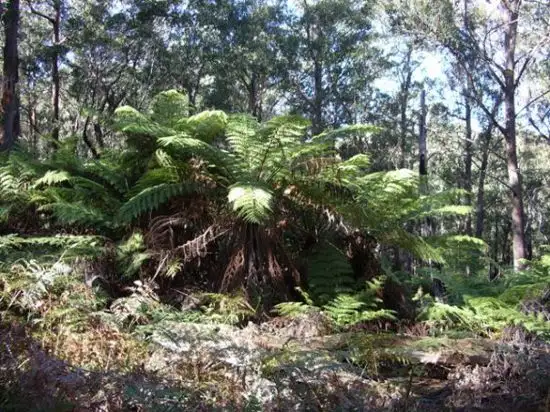 Second view of Homely land listing, Lot 2 Ribbon Gum Road, Braidwood NSW 2622