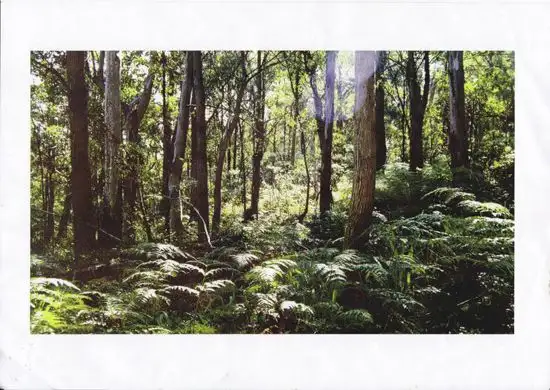 Fifth view of Homely land listing, Lot 2 Ribbon Gum Road, Braidwood NSW 2622