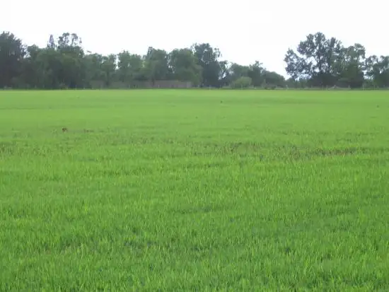 Fourth view of Homely rural property listing, Address available on request