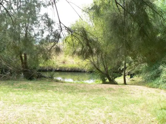 18 Salisbury Street, Blandford NSW 2338