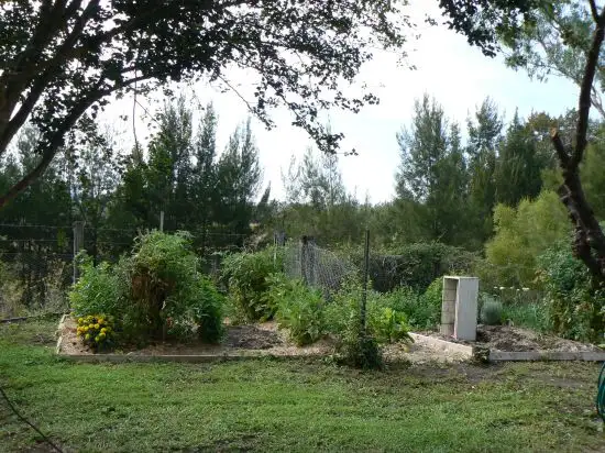 Sixth view of Homely house listing, 18 Salisbury Street, Blandford NSW 2338