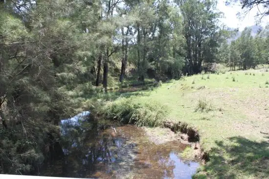 Second view of Homely rural property listing, 1 Abbott St, Wingen NSW 2337