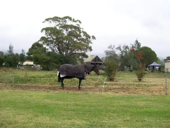 Second view of Homely land listing, 3 Vernon Street, Wingen NSW 2337