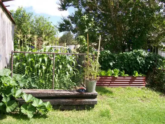 Sixth view of Homely house listing, 63 Haydon Street, Murrurundi NSW 2338