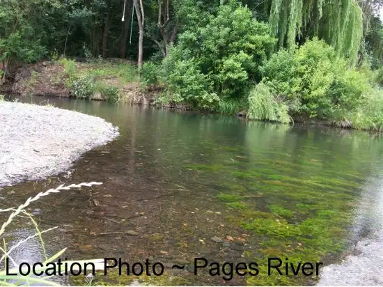 Main view of Homely land listing, 135 Liverpool Terrace, Murrurundi NSW 2338