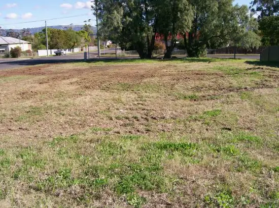 Main view of Homely land listing, 30 Birrell Street, Scone NSW 2337