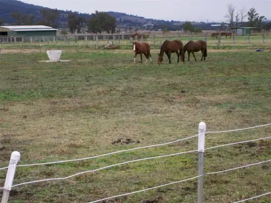 Second view of Homely land listing, Lot 2 Tullong Road, Scone NSW 2337