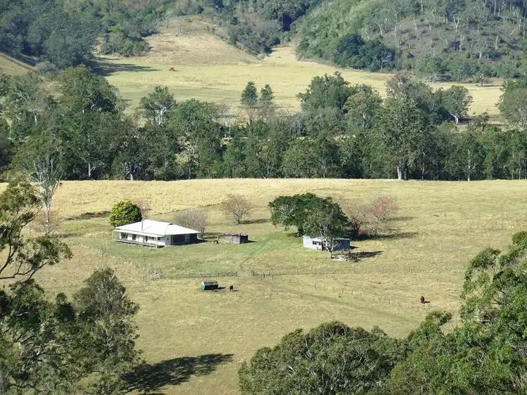 312 Carrai Road, Willi Willi NSW 2440