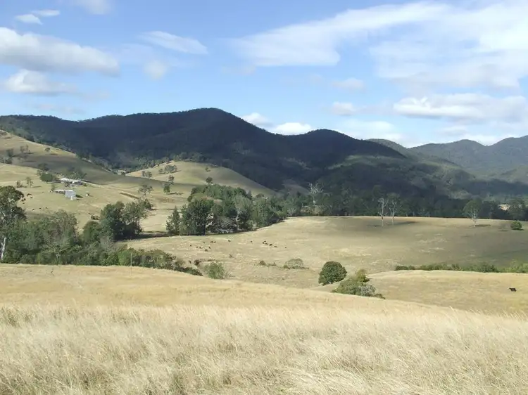 Fifth view of Homely rural property listing, 312 Carrai Road, Willi Willi NSW 2440