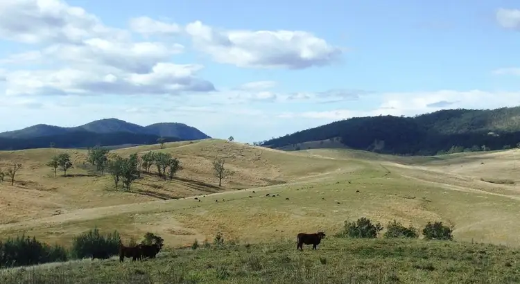 Sixth view of Homely rural property listing, 312 Carrai Road, Willi Willi NSW 2440