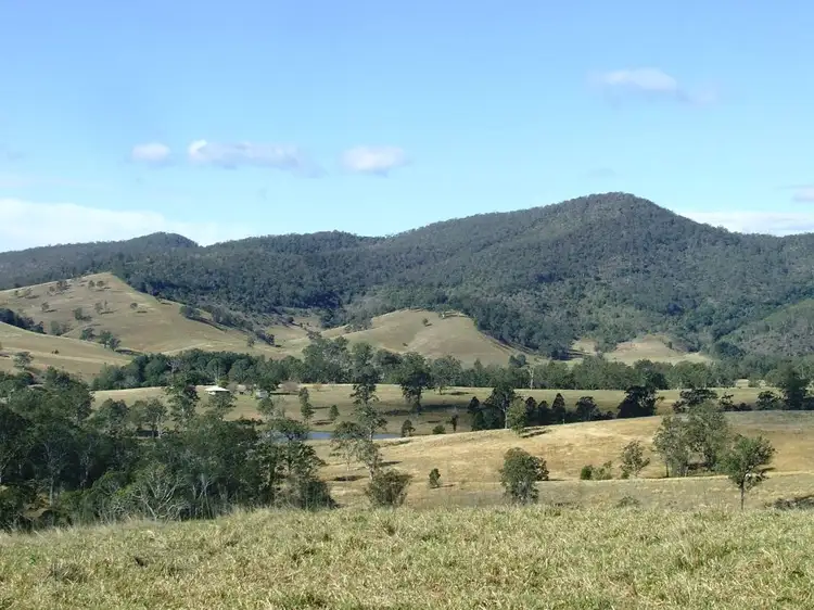 Seventh view of Homely rural property listing, 312 Carrai Road, Willi Willi NSW 2440