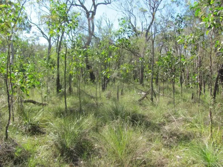 Fourth view of Homely rural property listing, Lot 53 Matchbox Road, Deepwater QLD 4674