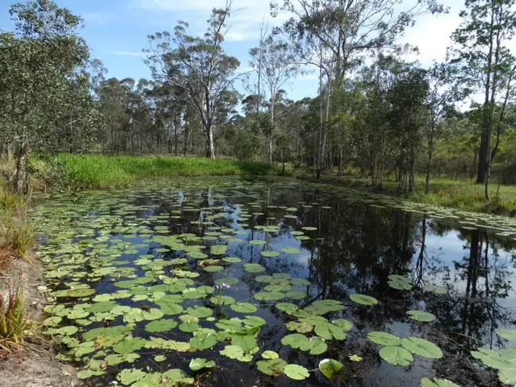 Second view of Homely rural property listing, 170 Bottle Creek Road, Rosedale QLD 4674