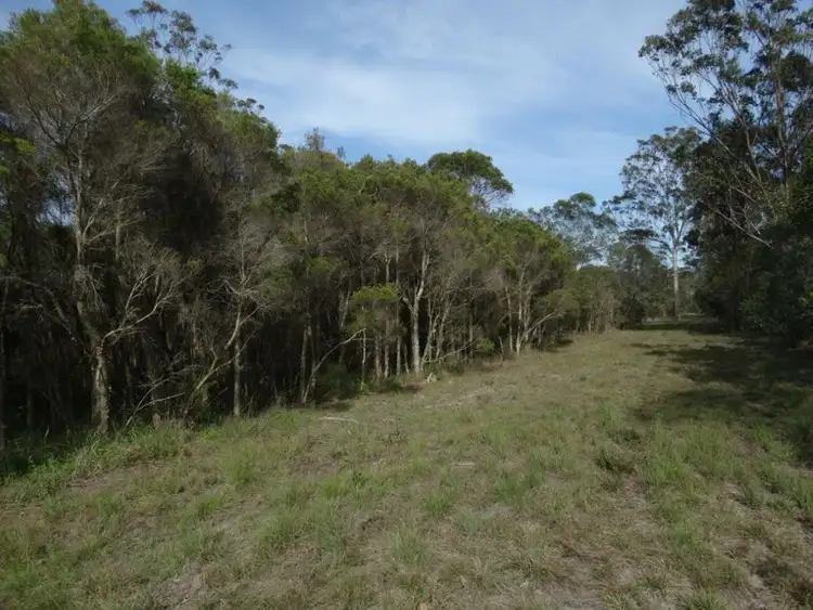 Fifth view of Homely rural property listing, 170 Bottle Creek Road, Rosedale QLD 4674
