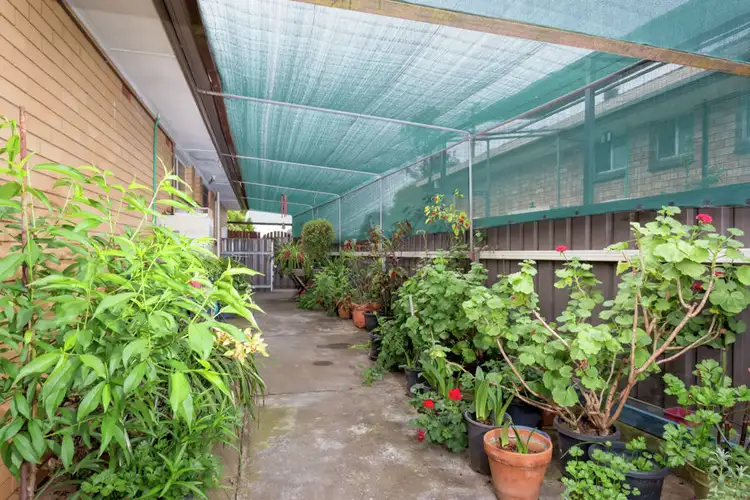 Sixth view of Homely house listing, 16 Maher Street, Tolland NSW 2650