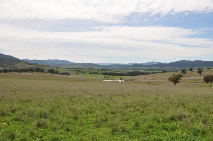 Fifth view of Homely rural property listing, New England Highway & Gundy Road - "St Aubins Estates", Scone NSW 2337