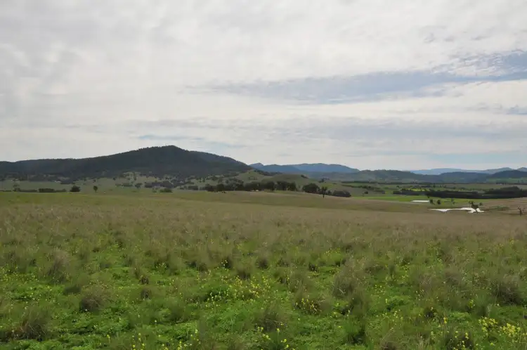 Sixth view of Homely rural property listing, New England Highway & Gundy Road - "St Aubins Estates", Scone NSW 2337