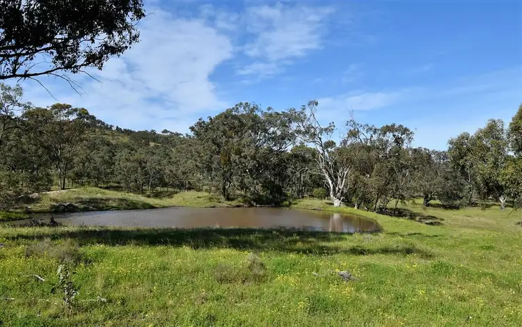Main view of Homely rural property listing, Lovat East Turanville Road, Scone NSW 2337