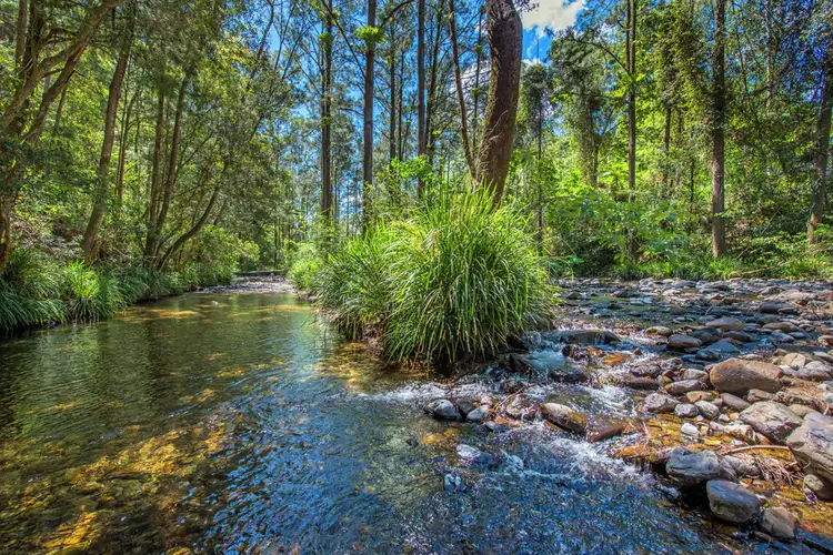 755 Summervilles Road, Thora, Bellingen NSW 2454