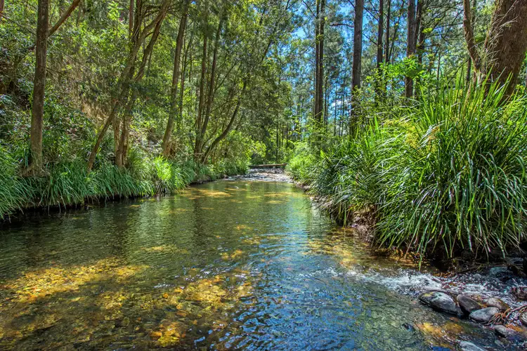 Seventh view of Homely rural property listing, 755 Summervilles Road, Thora, Bellingen NSW 2454