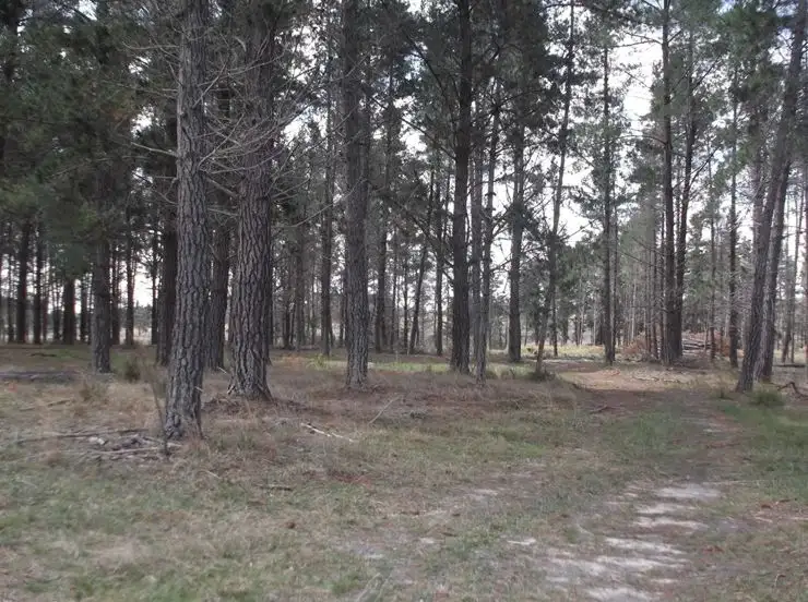 Fourth view of Homely land listing, Lot 31 Border Road, Stanthorpe QLD 4380