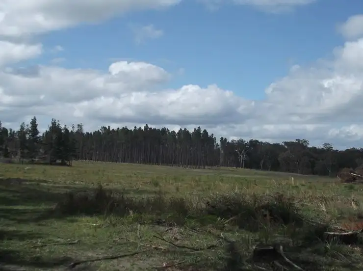 Fifth view of Homely land listing, Lot 31 Border Road, Stanthorpe QLD 4380