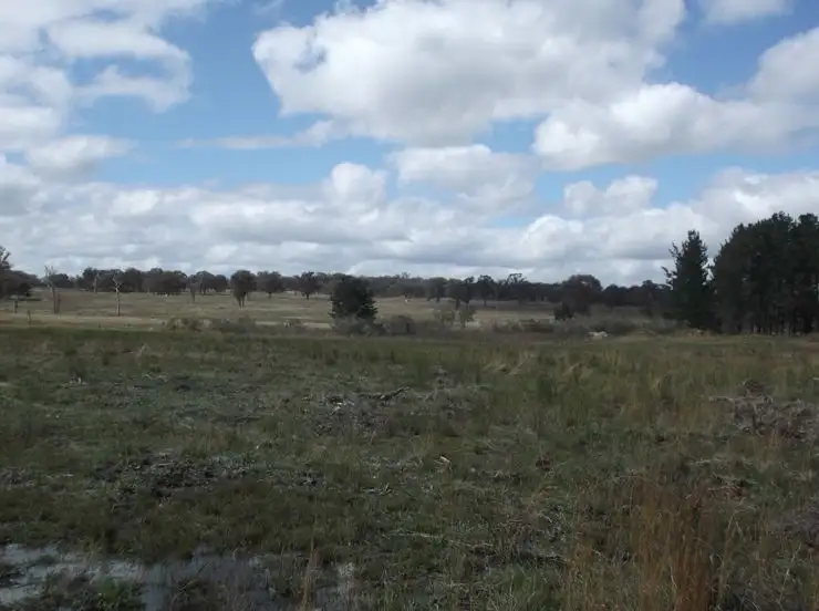 Sixth view of Homely land listing, Lot 31 Border Road, Stanthorpe QLD 4380