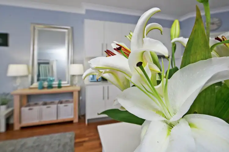 Main view of Homely house listing, 113 Moreton Avenue, Wynnum QLD 4178